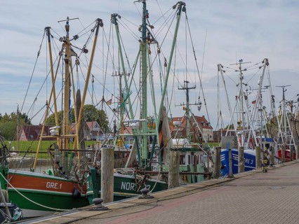 Several fishing boats are moored at the jetty, with nets and ropes ready for the next job,