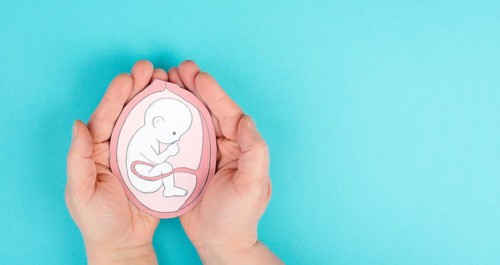 Unborn baby in the uterus, drawing of a fetus in the last trimester of pregnancy, childbirth and