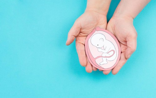 Unborn baby in the uterus, drawing of a fetus in the last trimester of pregnancy, childbirth and