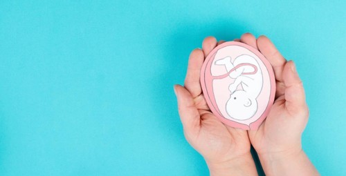 Unborn baby in the uterus, drawing of a fetus in the last trimester of pregnancy, childbirth and