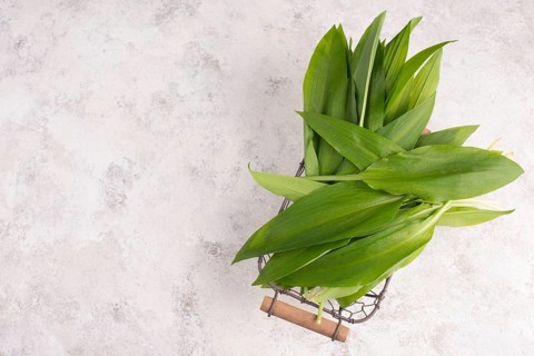 Pesto made from wild garlic, pine nuts and feta cheese in a glass, with fresh leaves on a textured