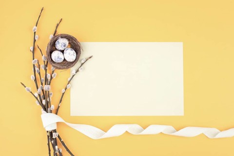 Easter holiday and spring background, empty paper for text, pastel colors, nest with eggs, pussy