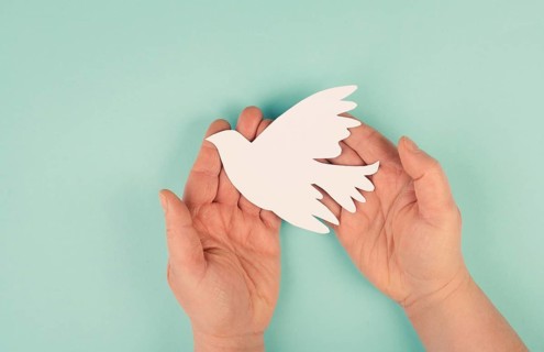 Holding a white dove in the hands, symbol of peace, paper cut out, copy space for text