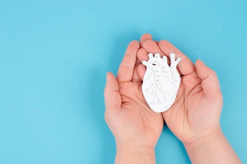 Woman is holding a heart in her hand, world heart day, blue colored background, heartbeat, health