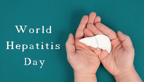 World hepatitis day, hands holding a liver, organ disease, health care
