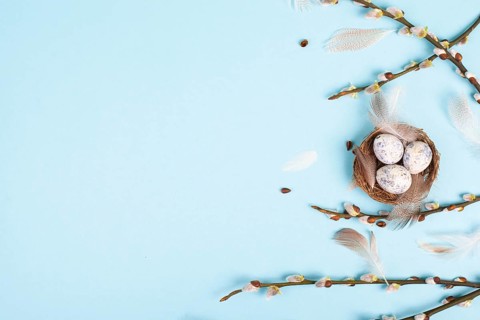 Easter holiday background, nest with small eggs, branches of pussy willow, greeting card, spring