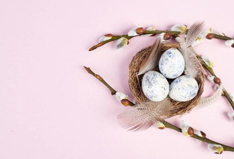 Easter holiday background, nest with small eggs, branches of pussy willow, greeting card, spring