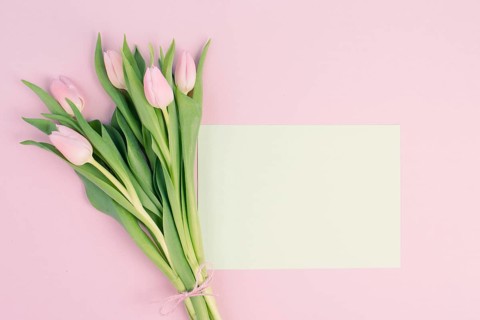 Pink tulips greeting card for birthday, easter holiday, womens day, mothers day, floral background