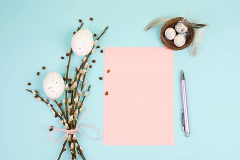 Easter holiday and spring background, empty paper for text, pastel colors, nest with eggs, pussy