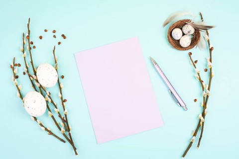 Easter holiday and spring background, empty paper for text, pastel colors, nest with eggs, pussy