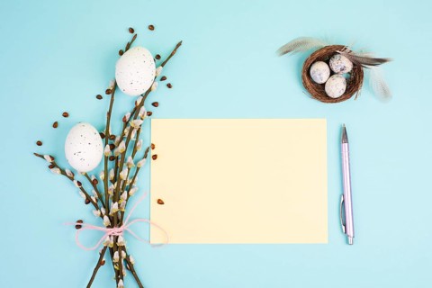 Easter holiday and spring background, empty paper for text, pastel colors, nest with eggs, pussy