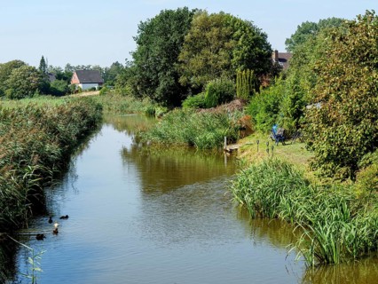 A small river with dense vegetation and ducks, houses and trees in the background, Ditzum,