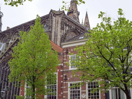 High gothic cathedral surrounded by brick houses and green trees in spring, Delft, Netherlands,