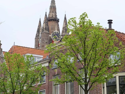 Historic church with a high bell tower, surrounded by trees and residential buildings, Delft,
