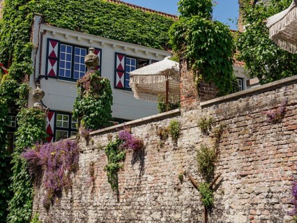 Brick wall and house covered with climbing plants, parasols in the courtyard in clear weather,