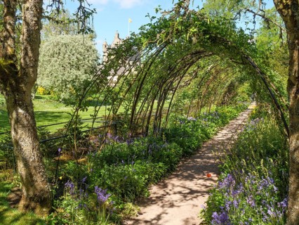 A curved garden path with flowering plants and arches covered in green foliage, inverness,