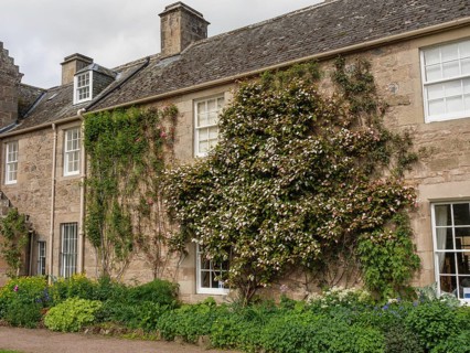 Stone house with green garden and plants growing along the walls, inverness, scotland, Great