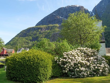 Flowering bushes and green trees next to a church, against a background of mountains and sky,