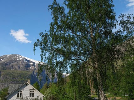 Deciduous trees and mountains with snow-capped peaks in the background of a rural house, in sunny