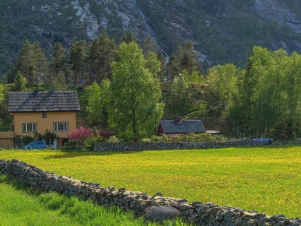 Rural house with colourful vegetation and yellow flowers in a meadow, surrounded by mountains and