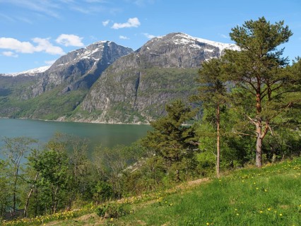 View of lake with high mountains and trees, calm atmosphere and clear blue sky, Eidfjörd, Norway,