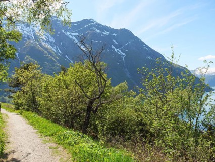 Natural path through trees with high mountains in the background, clear skies and peaceful