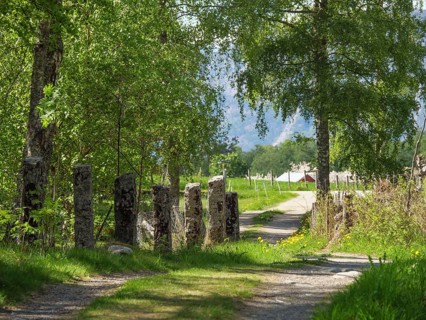 A rural path lined with trees and immersed in green nature, Eidfjörd, Norway, Scandinavia, Europe
