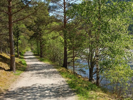 A hiking trail along a river, lined with green trees, Eidfjörd, Norway, Scandinavia, Europe