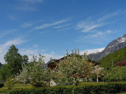 A cosy house with blossoming trees in the garden and snow-capped mountains in the background,