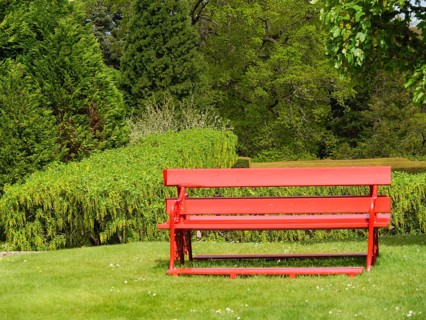 A red bench stands in a green park with trees and hedges in the background, inverness, scotland,
