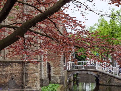 Scenic view of a brick building with a decorative bridge and red deciduous tree in spring, Delft,