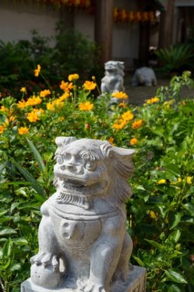 Stone lion statue in a blooming garden full of yellow flowers, Pattaya, Thailand, Asia