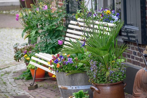 Street scene with white wooden bench and flower pots full of colourful flowers creating a cosy