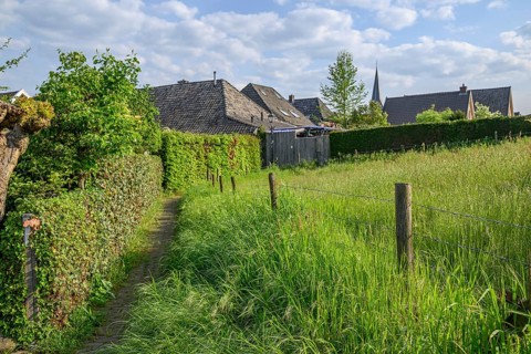 A narrow path leads through a green meadow along a row of houses, surrounded by green hedges, in a