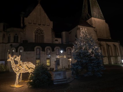 Decorated church at night with illuminated reindeer and Christmas tree, bocholt, Münsterland, North