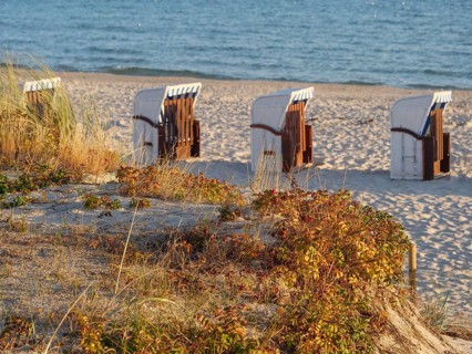 White beach chairs stand on the sandy beach, surrounded by low vegetation and overlooking the sea,