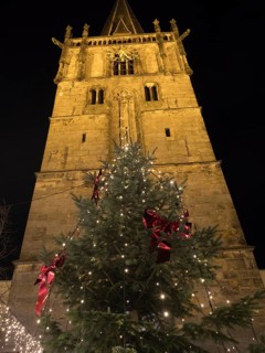 Large Christmas tree illuminated in front of a historic church at night, Ahaus, Münsterland, North