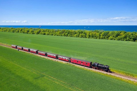 Molli steam locomotive on the narrow-gauge railway running along the Baltic Sea between Bad Doberan