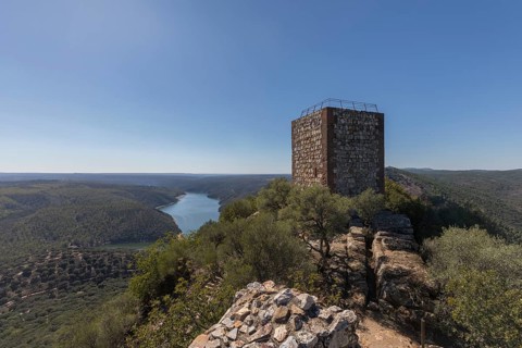 Monfragüe National Park, Extremadura, Castilla La Mancha, Spain, Europe