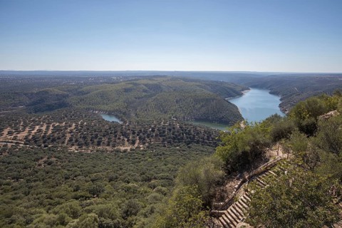 Monfragüe National Park, Extremadura, Castilla La Mancha, Spain, Europe