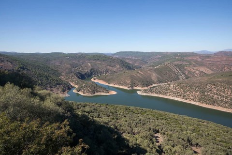 Monfragüe National Park, Extremadura, Castilla La Mancha, Spain, Europe