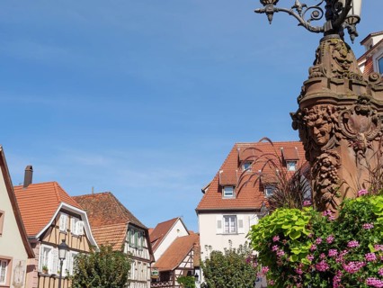 Image of a historic street lamp with half-timbered houses and flowers in the background,
