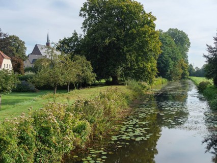 River with tree-lined bank, meadows and church tower in the background in calm weather, marienthal,
