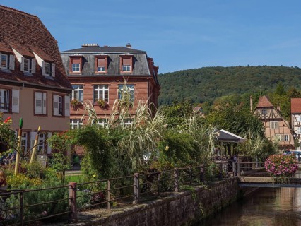 A picturesque town with half-timbered houses and an overgrown canal, Wissembourg, Alsace, France,