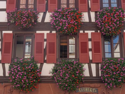Traditional half-timbered house with red shutters and colourful flower boxes that create a cosy