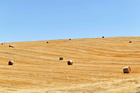 Harvested wheat fields, Landscape south of Pienza, Tuscany, Italy, Europe, Golden fields with hay
