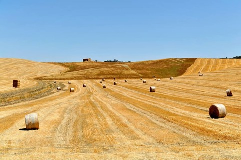 Harvested wheat fields, landscape south of Pienza, Tuscany, Italy, Europe, Several hay bales