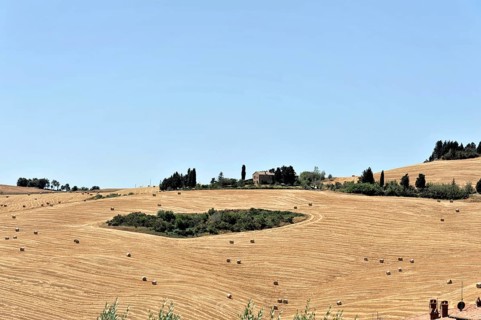 Harvested wheat fields, landscape south of Pienza, Tuscany, Italy, Europe, View of a historic town