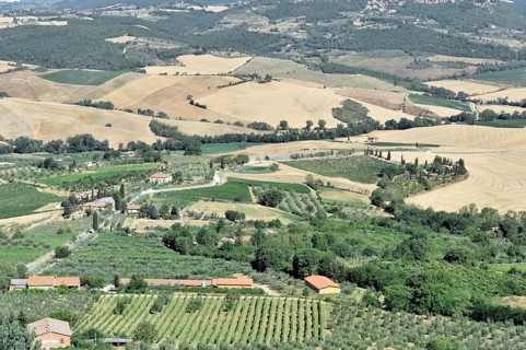 Montepulciano, Tuscany, Italy, Europe, Panorama of a rural landscape with many fields, trees and