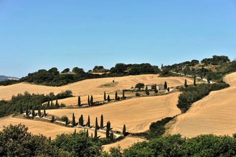 Cypress avenue La Foce, Tuscany, Italy, Europe, Landscape with wide fields and rolling hills, lined